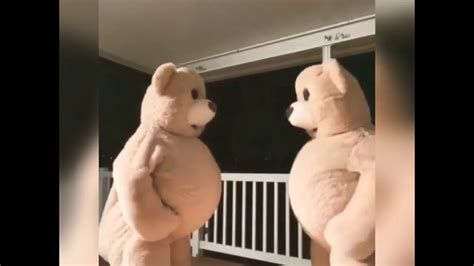 dancing bear compilation